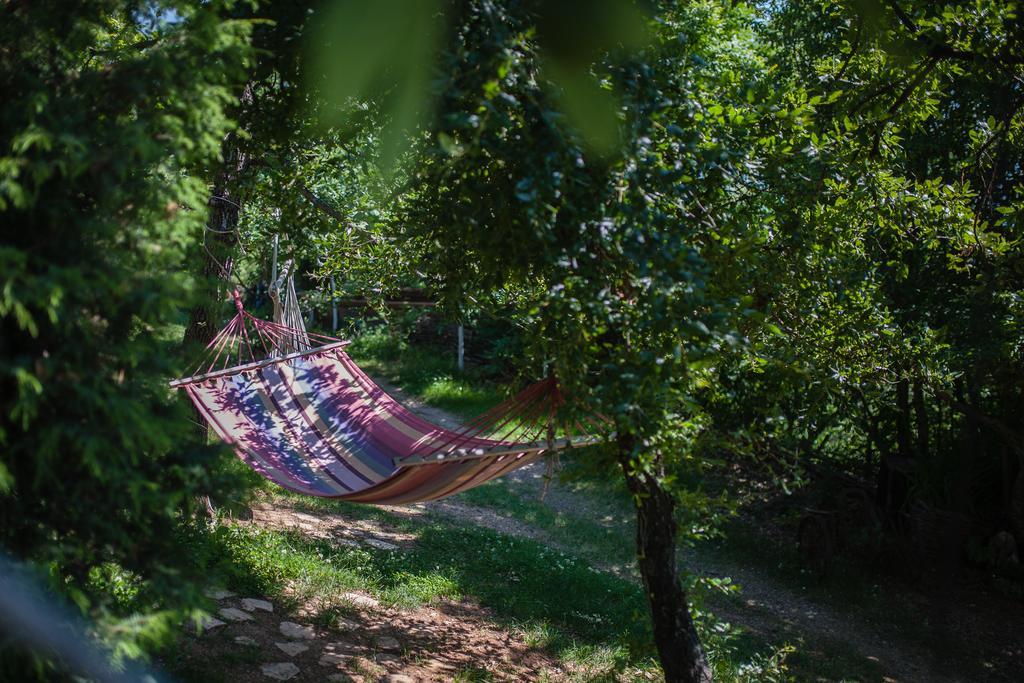 Robinson Sunset Guest House Lagadin Εξωτερικό φωτογραφία